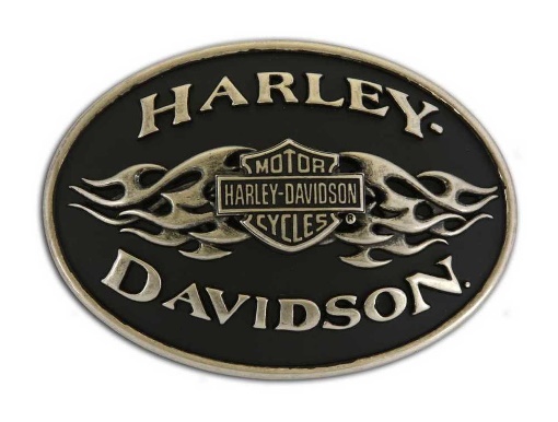 Men's Iconic Eagle Belt - Harley-Davidson® Online